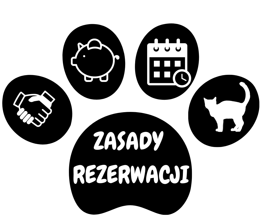 rezerwacja_kota